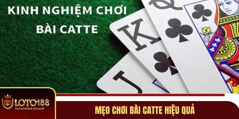 Bài Catte - Trò Chơi Cá Cược Hấp Dẫn Tại Nhà Cái Loto188 4 Mẹo chơi game bài hiệu quả