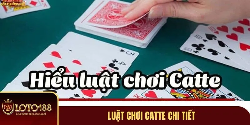 Bài Catte - Trò Chơi Cá Cược Hấp Dẫn Tại Nhà Cái Loto188 3 Hướng dẫn cách chơi catte cho tân thủ