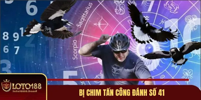 Nằm Mơ Thấy Chim Đánh Số Gì? Kinh Nghiệm Chốt Số Chuẩn 4 Bị chim tấn công đánh số 41