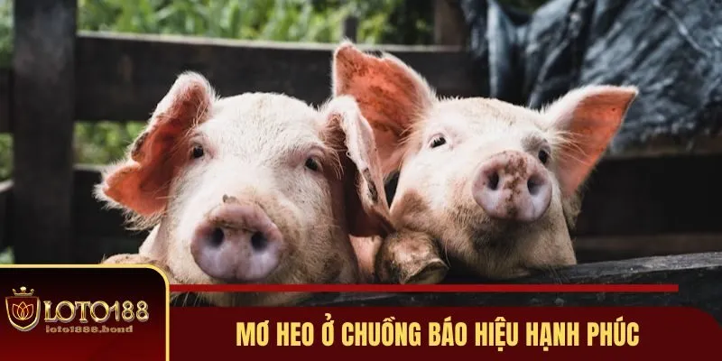 Nằm Mơ Thấy Heo Đánh Số Gì? Giải Mã Ý Nghĩa Số Học 2 Mơ heo ở chuồng báo hiệu hạnh phúc