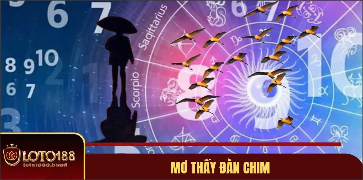 Nằm Mơ Thấy Chim Đánh Số Gì? Kinh Nghiệm Chốt Số Chuẩn 2 Luận giải nằm mơ thấy chim đánh số gì?