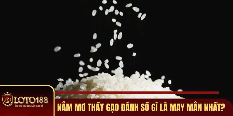 Nằm Mơ Thấy Gạo Đánh Số Gì? Bật Mí Những Con Số Tài Lộc 2 Nằm mơ thấy gạo đánh số gì là may mắn nhất?