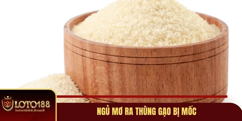 Nằm Mơ Thấy Gạo Đánh Số Gì? Bật Mí Những Con Số Tài Lộc 3 Ngủ mơ ra thùng gạo bị mốc