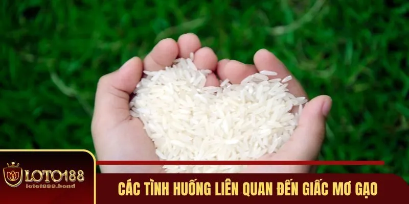 Nằm Mơ Thấy Gạo Đánh Số Gì? Bật Mí Những Con Số Tài Lộc 4 Các tình huống liên quan đến giấc mơ gạo