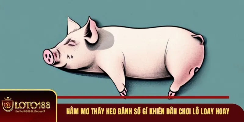 Nằm Mơ Thấy Heo Đánh Số Gì? Giải Mã Ý Nghĩa Số Học 4 Nằm mơ thấy heo đánh số gì khiến dân chơi lô loay hoay