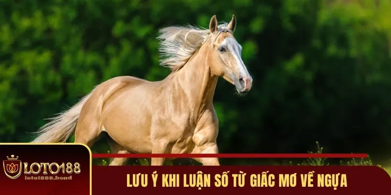 Nằm Mơ Thấy Ngựa Đánh Số Gì? Giải Mã Ngay Để Bắt Lấy Vận May 4 Lưu ý khi luận số từ giấc mơ về ngựa