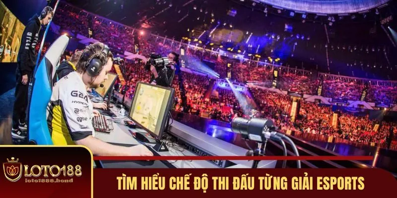 Cá Cược Thể Thao Điện Tử - Top 3 Trò Chơi Ăn Khách 4 Tìm hiểu chế độ thi đấu từng giải Esports