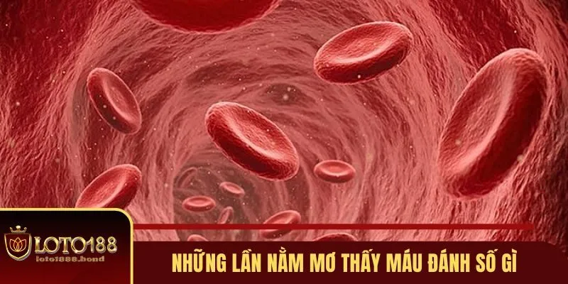 Nằm Mơ Thấy Máu Đánh Số Gì Và Những Giải Mã Tại Loto188 2 Tổng hợp lần nằm mơ thấy máu đánh số gì hiện nay