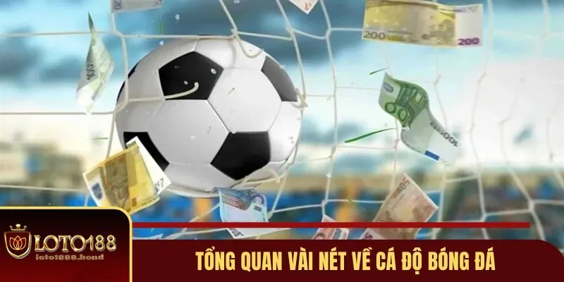 Cách Chơi Cá Độ Bóng Đá Không Thua Và Thắng Lớn Tại Loto188 2 Giới thiệu tổng quát về cá độ bóng đá tại Loto188
