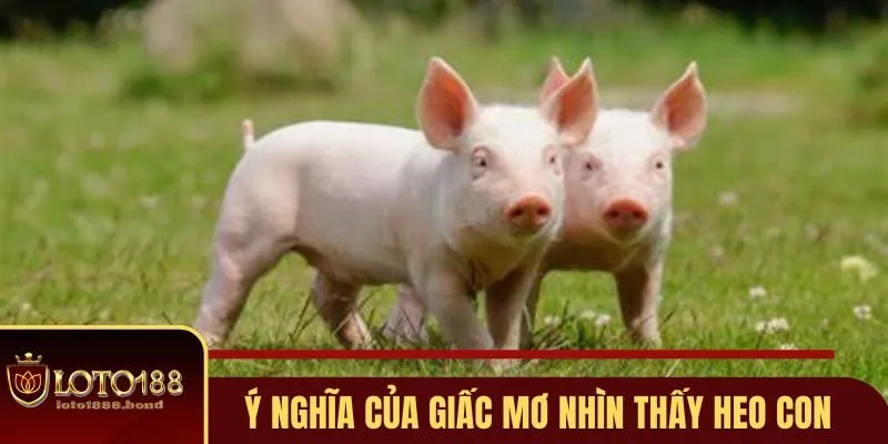 Nằm Mơ Thấy Heo Con Đánh Số Gì - Giải Mã Giấc Mộng Tài Lộc 2 Ý nghĩa của giấc mơ nhìn thấy heo con